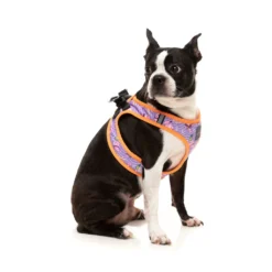 FuzzYard Harnais Step In Aloha Dolphins Pour Chiens -Trixie Soldes Magasin FZHS453 8 StepInHarness AlohaDolphins Dog03 1024x1024 63ee1d3618dbc