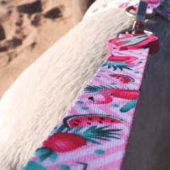 Dashi Laisse Flamingo -Trixie Soldes Magasin Flamingo Lifestyle SiteFlamingo Leash 2 624ab94a32e17