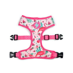 Dashi Harnais Flamingo Neo