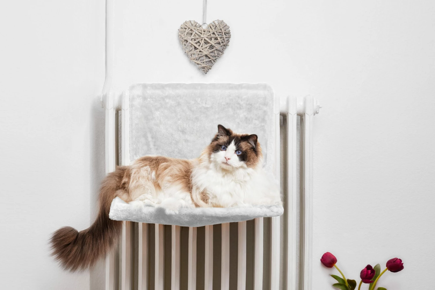 Gloria Pets Hamac Bora Bora Pour Les Chats 3 Gloria Pets Hamac Bora Bora Pour Les Chats