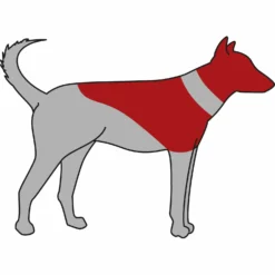 Trixie Collier Protecteur Gonflable -Trixie Soldes Magasin GRA PRO 19540 19544