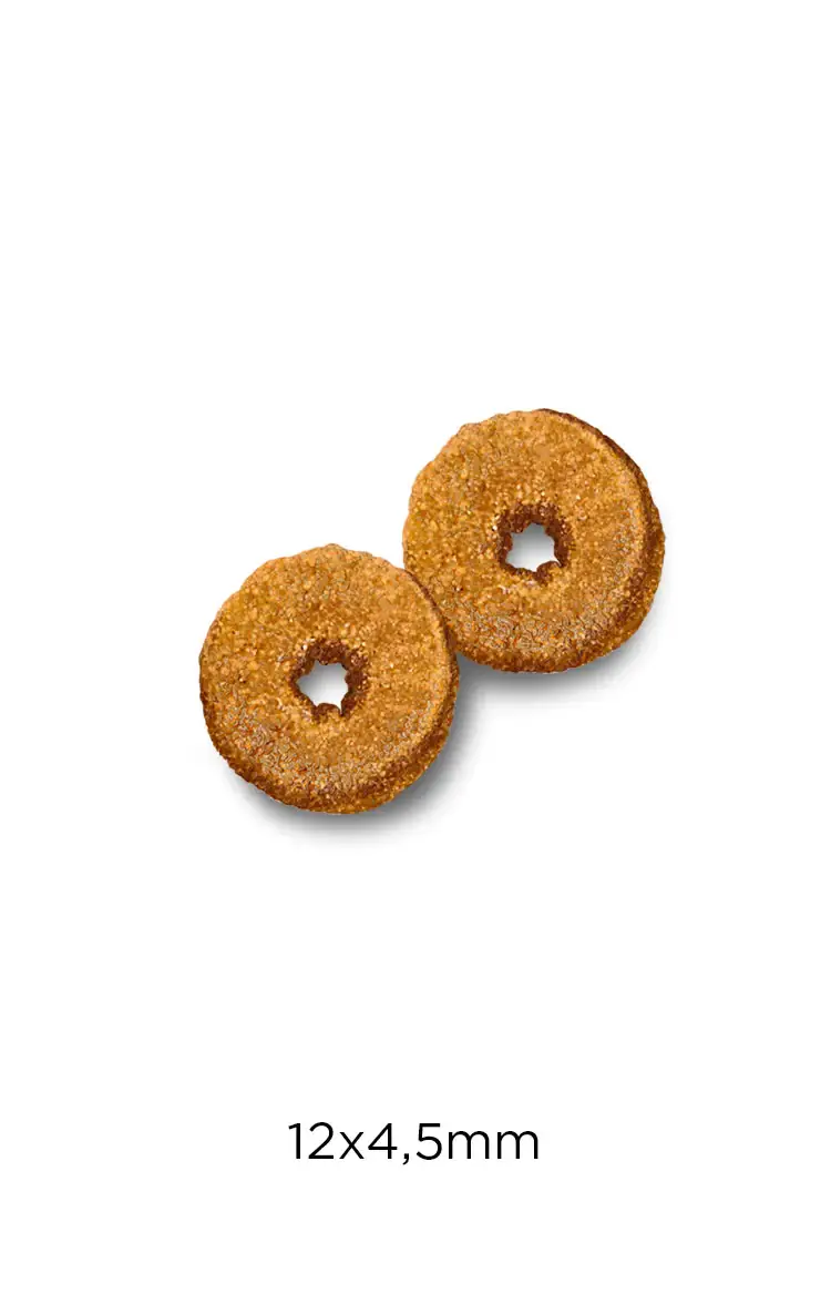 Optimanova Cat Poulet Et Riz 4 Optimanova Cat Poulet Et Riz – Image 2