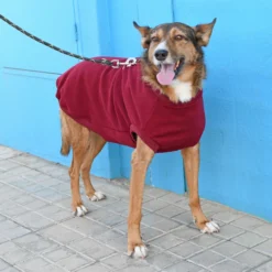 FuzzYard Pull FY Rouge -Trixie Soldes Magasin Granate L Bodhi 1 633ab867aa285 scaled