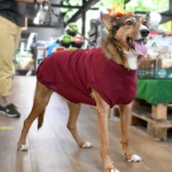 FuzzYard Pull FY Rouge -Trixie Soldes Magasin Granate L Bodhi 19 633ab86d89180 scaled