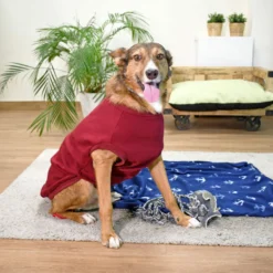 FuzzYard Pull FY Rouge -Trixie Soldes Magasin Granate L Bodhi 34 633ab87c36740 scaled