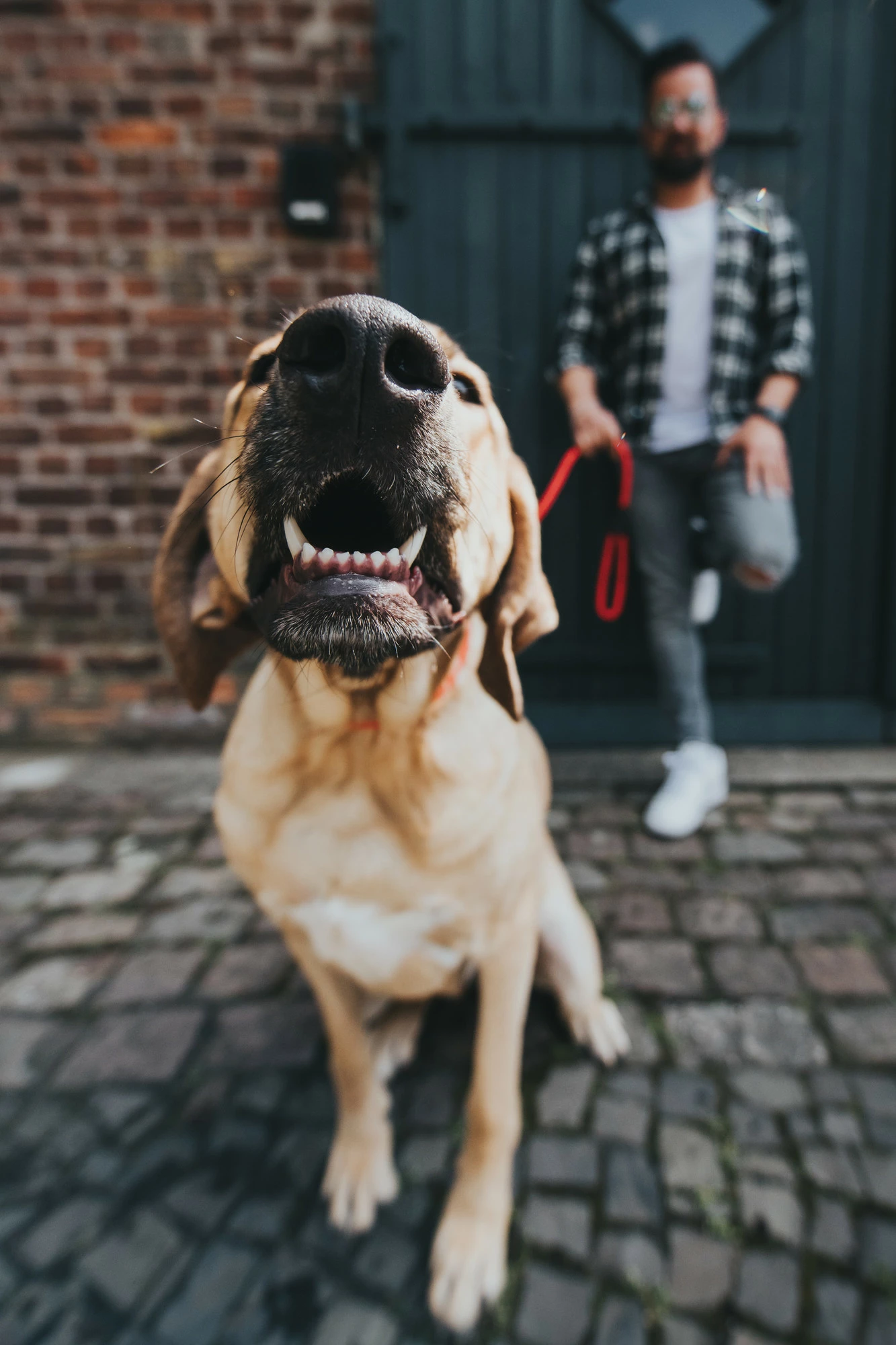 Hunter Freestyle Strap Purple 4 Hunter Freestyle Strap Purple – Image 2