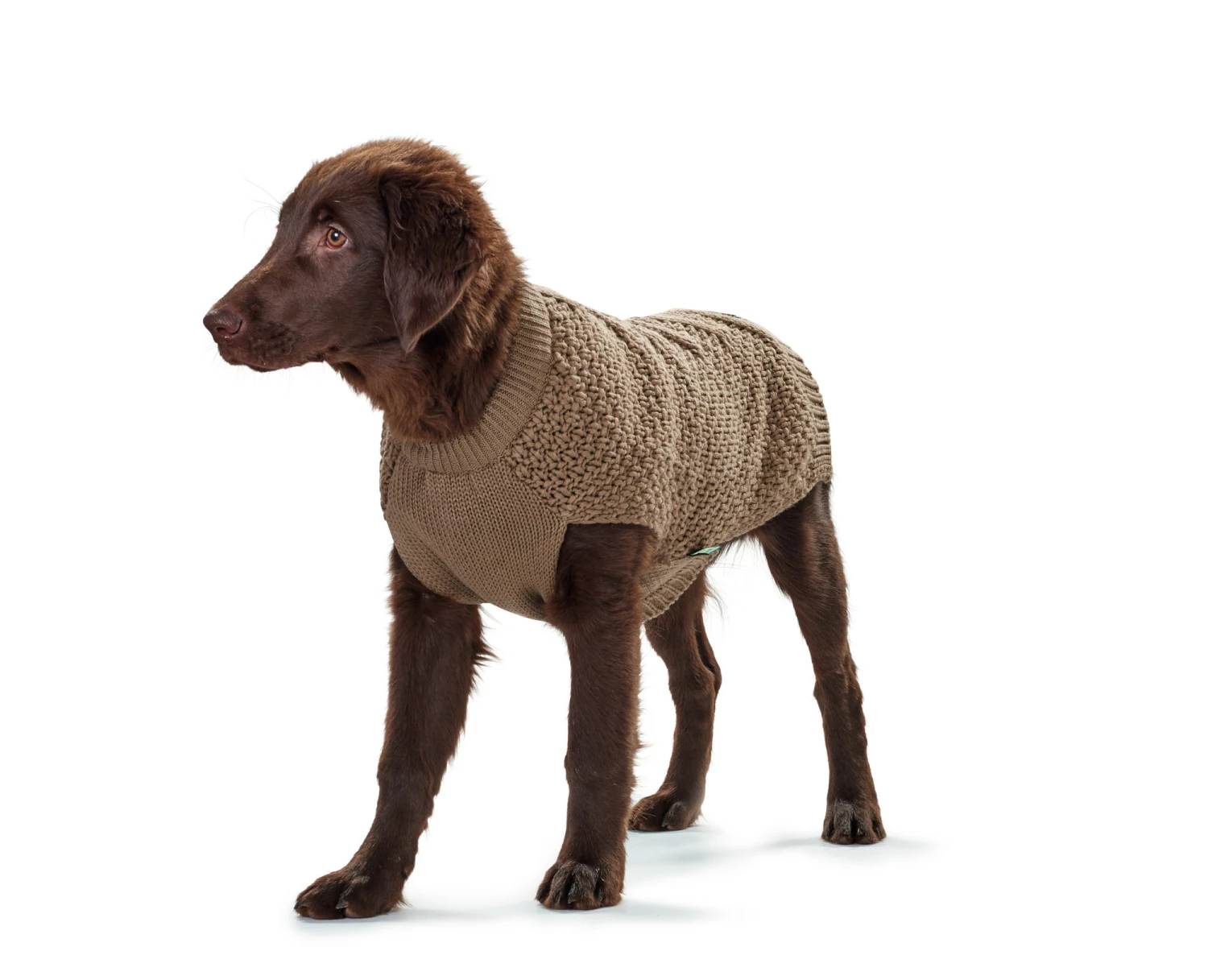 Hunter Pullover De Chien Malmö Brown 6 Hunter Pullover De Chien Malmö Brown – Image 4