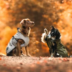 Hunter Manteau De Chien Uppsala Beige -Trixie Soldes Magasin HU62957 HU62958 HU62959 HU62960 HU62961 HU62962 7 637de322402a5