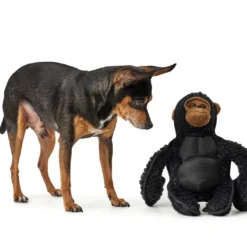 Hunter Jouet Pour Chiens Kamerun Gorila Dur 6 Hunter Jouet Pour Chiens Kamerun Gorila Dur -Trixie Soldes Magasin HU65722 1 637df1093ae5b