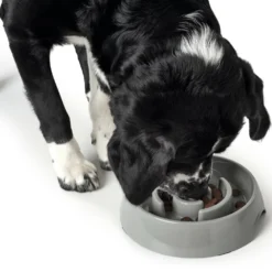 Hunter Atlantan -Trixie Soldes Magasin HU66580 HU66581 1 637dd0b0eb701