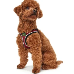 Hunter Harnais Confort Fil Rouge 9 Hunter Harnais Confort Fil Rouge -Trixie Soldes Magasin HU66601 HU66602 HU66603 HU66604 HU66605 HU66606 HU66607 HU67467 3 62b03bb652962