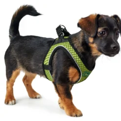 Hunter Harnais Confort Fil Vert -Trixie Soldes Magasin HU66621 HU66622 HU66623 HU66624 HU66625 HU66626 HU66627 HU67465 1 3 62b03d0e81cc2