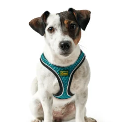 Hunter Harnais Comfort Yarn Turquoise -Trixie Soldes Magasin HU67133 HU67134 HU67135 HU67136 HU67137 HU67138 HU67139 HU67468 3 62b03e6a26ffc