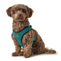 Hunter Harnais Comfort Yarn Turquoise -Trixie Soldes Magasin HU67133 HU67134 HU67135 HU67136 HU67137 HU67138 HU67139 HU67468 4 62b03e6b6a28f
