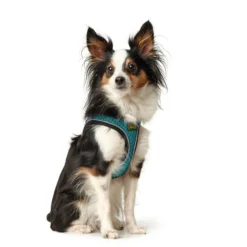 Hunter Harnais Comfort Yarn Turquoise -Trixie Soldes Magasin HU67133 HU67134 HU67135 HU67136 HU67137 HU67138 HU67139 HU67468 5 62b03e6cd5684