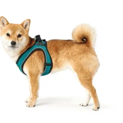 Hunter Harnais Comfort Yarn Turquoise -Trixie Soldes Magasin HU67133 HU67134 HU67135 HU67136 HU67137 HU67138 HU67139 HU67468 6 62b03e6e6dd7e