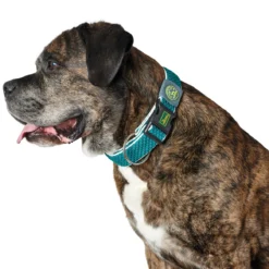 Hunter Collier Hilo Vario Basic M -Trixie Soldes Magasin HU67166 HU67167 1 62ac64c6c08e9