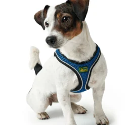 Hunter Harnais Hilo Comfort Bleu 10 Hunter Harnais Hilo Comfort Bleu -Trixie Soldes Magasin HU67477 HU67478 HU67479 HU67480 HU67481 HU67482 HU67483 HU67469 3 62b03e300b362