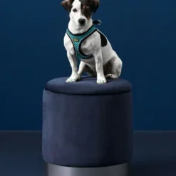 Hunter Harnais Hilo Comfort Bleu 11 Hunter Harnais Hilo Comfort Bleu -Trixie Soldes Magasin HU67477 HU67478 HU67479 HU67480 HU67481 HU67482 HU67483 HU67469 4 62b03e31ef4ce