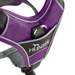 Hunter Harnais De Divo Lila -Trixie Soldes Magasin HU67579 HU67580 HU67581 HU67582 HU67583 HU67584 3 62dfbffcecdd3