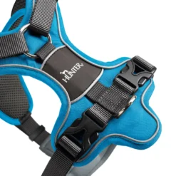 Hunter Divo Bleu Arné -Trixie Soldes Magasin HU67599 HU67600 HU67601 HU67602 HU67603 HU67604 2 62dfbfe59e3de