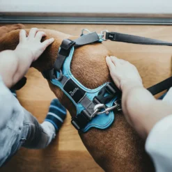 Hunter Divo Bleu Arné -Trixie Soldes Magasin HU67599 HU67600 HU67601 HU67602 HU67603 HU67604 5 62dfbfe8917e7