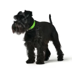 Hunter Confort De La Commodité Du Col 7 Hunter Confort De La Commodité Du Col -Trixie Soldes Magasin HU68919 HU68920 HU68921 HU68922 HU68923 HU68924 HU68925 HU68926 HU68927 HU68928 HU68929 HU68930 2 62dfbf50a3f65