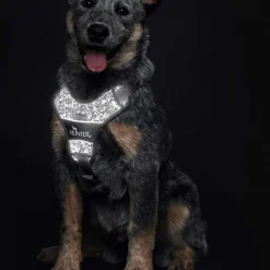 Hunter Divo Noir / Gris Reflète Le Harnais -Trixie Soldes Magasin HU68958 HU68959 HU68960 HU68961 HU68962 HU68963 4 637cc0e155d55