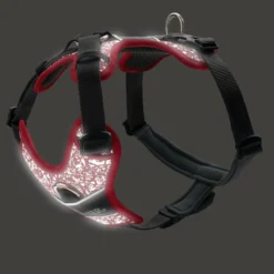 Hunter Le Rouge / Gris Reflète Les Divins Arnés -Trixie Soldes Magasin HU68968 HU68969 HU68970 HU68971 HU68972 HU68973 4 637cc12696004