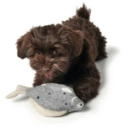 Hunter Poisson De Poisson Skagen -Trixie Soldes Magasin HU69001 1 637df0857792e