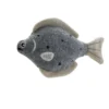 Hunter Poisson De Poisson Skagen 1 Hunter Poisson De Poisson Skagen -Trixie Soldes Magasin HU69001 637df08384886