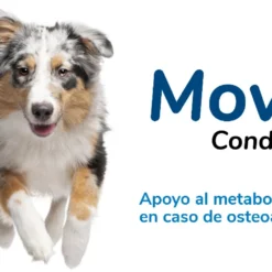 Hifarmax Movejoint 5 Hifarmax Movejoint -Trixie Soldes Magasin Hifarmax Movejoint 63591da56c151