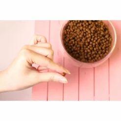 Kit Cat No Grain Hairball Control Avec Poulet Et Saumon Pour Chats -Trixie Soldes Magasin IMG 0154copy 1024x1024@2x