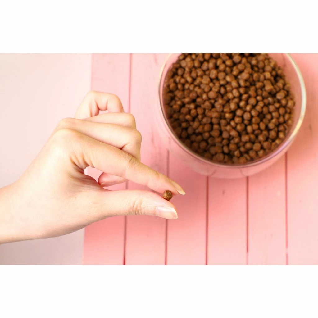 Kit Cat Nourriture Sans Céréales Pour Chats Avec Peau Et Pelage Thon Et Saumon 4 Kit Cat Nourriture Sans Céréales Pour Chats Avec Peau Et Pelage Thon Et Saumon – Image 2