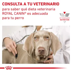 Royal Canin Early Renal -Trixie Soldes Magasin INFO 62fccb4953f79