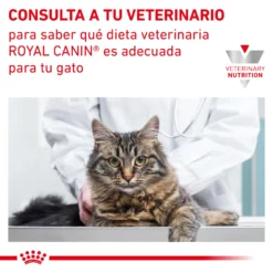 Royal Canin Nourriture Vet Care Skin Hairball Feline -Trixie Soldes Magasin INFO 62fce0e37bbb1