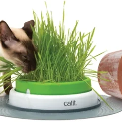 Catit Senses 2.0 Grass Planter Germoir 13 Catit Senses 2.0 Grass Planter Germoir -Trixie Soldes Magasin Imagem3 637611e64718c