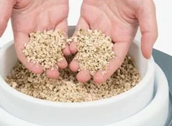 Catit Senses 2.0 Grass Planter Germoir 14 Catit Senses 2.0 Grass Planter Germoir -Trixie Soldes Magasin Imagem4 637611eac5855