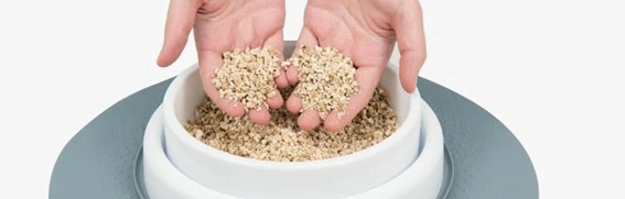 Catit Senses 2.0 Grass Planter Germoir 7 Catit Senses 2.0 Grass Planter Germoir – Image 5