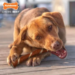 Nylabone Ec Porkhide Os Bacon & Pb -Trixie Soldes Magasin JU01724 4 637e375013dd5