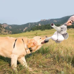 KONG Stretchezz Legz Bear Dog -Trixie Soldes Magasin KONG Stretchezz Legz 641994f582a85