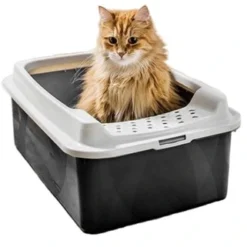 Rotho Bonnie Eco Cat Litter Tray Black -Trixie Soldes Magasin KUWETA TOALETA DLA KOTA Z WEJSCIEM BONNIE DUZA 646b5e3a59a9c