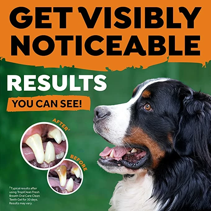 TropiClean Kit D'hygiène Dentaire Avec 1 Gel Et 2 Brosses à Dents Pour Grands Chiens 4 TropiClean Kit D'hygiène Dentaire Avec 1 Gel Et 2 Brosses à Dents Pour Grands Chiens – Image 2