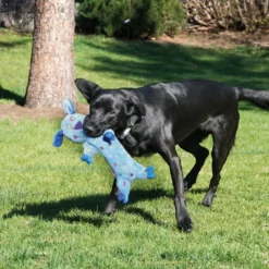 KONG Faible Mouchetures Singe Stuff Pour Chiens -Trixie Soldes Magasin LWS13 2 1000x1000 62ea3fe38b36a