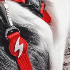 Dashi Laisse Solid Red -Trixie Soldes Magasin Lifestyle Red Leash 1 624abea835b7e