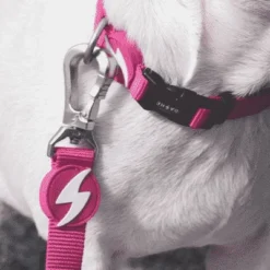 Dashi Laisse Solid Pink -Trixie Soldes Magasin LifestylePink Leash 2 624abe8169216