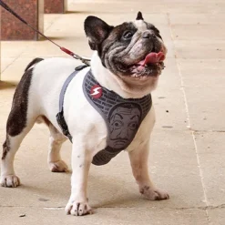 Dashi Harnais La Casa De Papel Melted Neo -Trixie Soldes Magasin MELTED neomesh2 624ab419e05e2