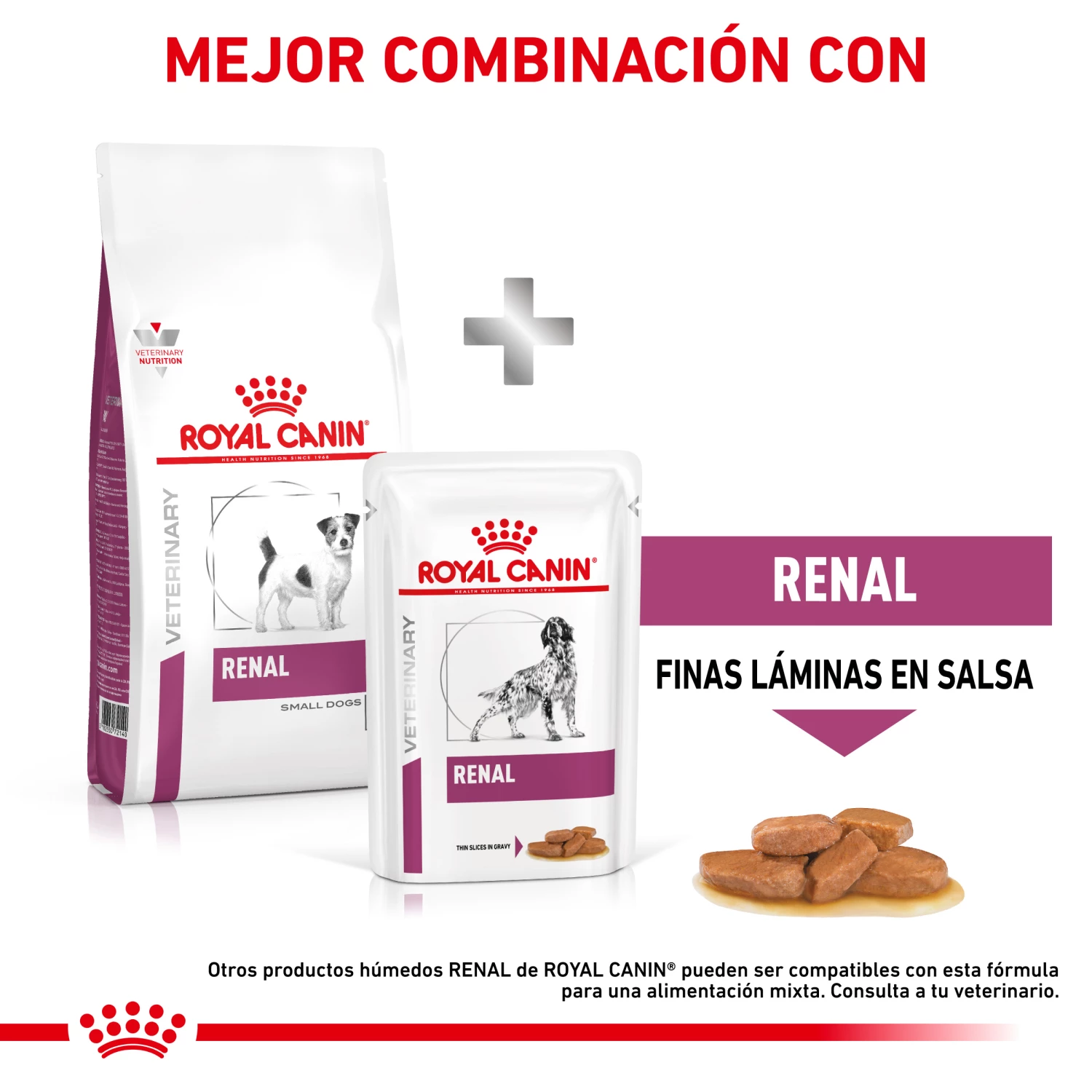 Royal Canin Renal Small Dog 5 Royal Canin Renal Small Dog – Image 3