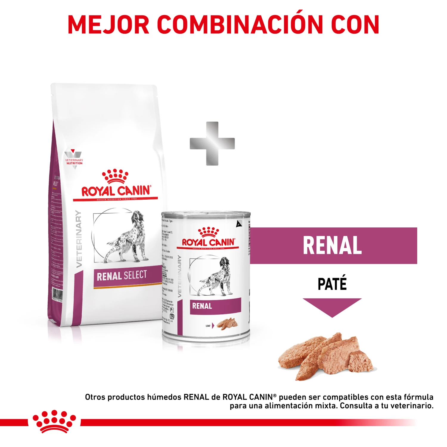 Royal Canin Nourriture Renal Select Canine 10 Royal Canin Nourriture Renal Select Canine – Image 8