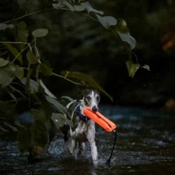 Julius K9 Harnais De Sécurité Multifonctionnel Pour Chiens -Trixie Soldes Magasin Motivador Multidummy 6478ac2e58fed scaled